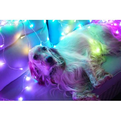 Twinkly - LED RGBW dimmbare Außen-Weihnachtsvorhang CURTAIN 210xLED 6,1m IP44 Wi-Fi