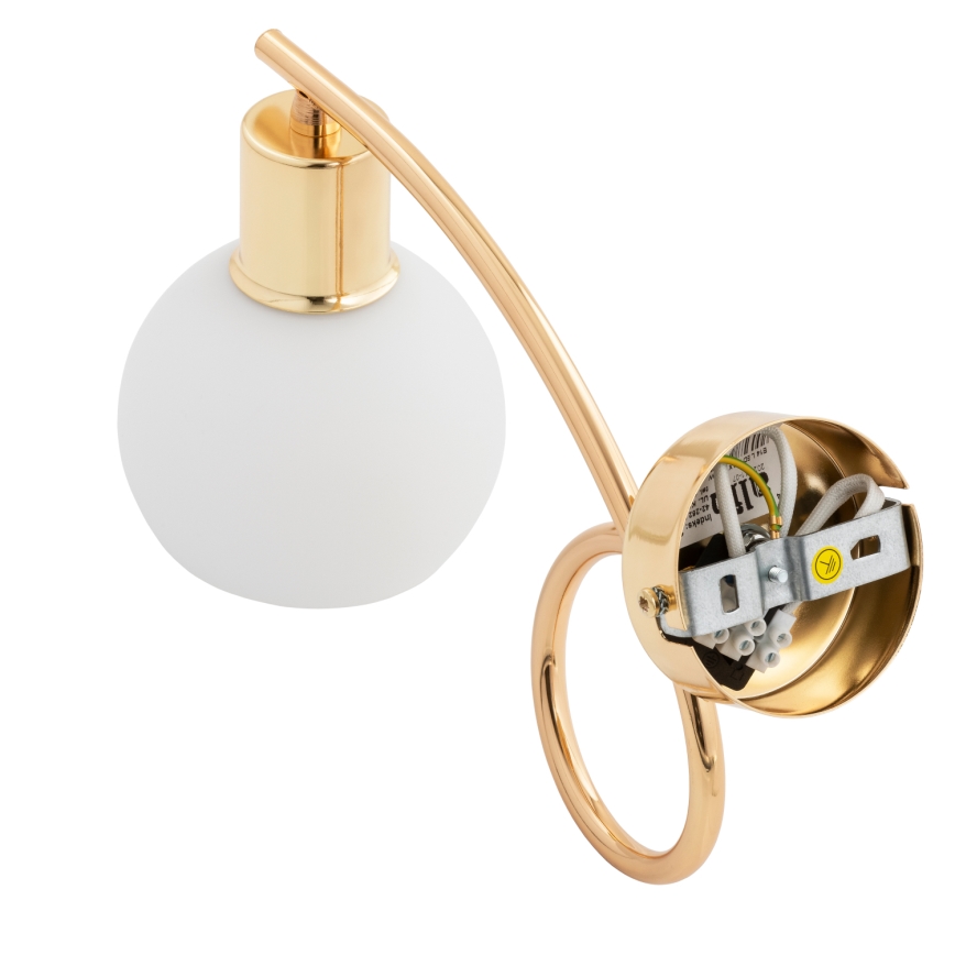 Wandleuchte ERYKA 1xE14/10W/230V golden