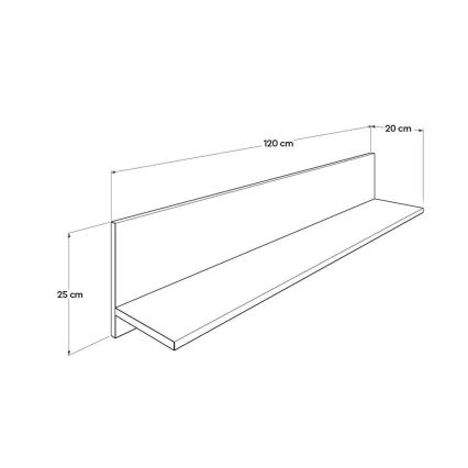 Wandregal 25x120 cm lila