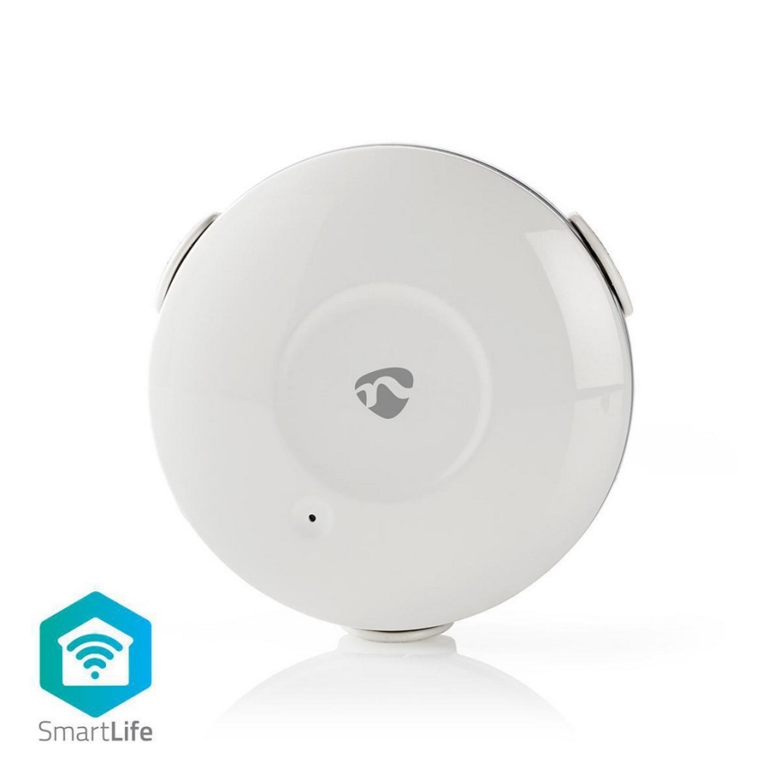 Wasserleck-Detektor 3V/1xCR123A + 1xCR2/20dBm Wi-Fi