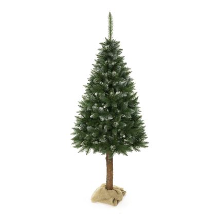 Weihnachtsbaum auf Stamm 180 cm Fichte