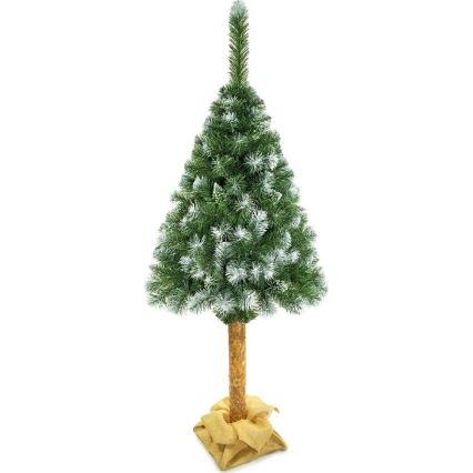 Weihnachtsbaum auf Stamm 220 cm Kiefer