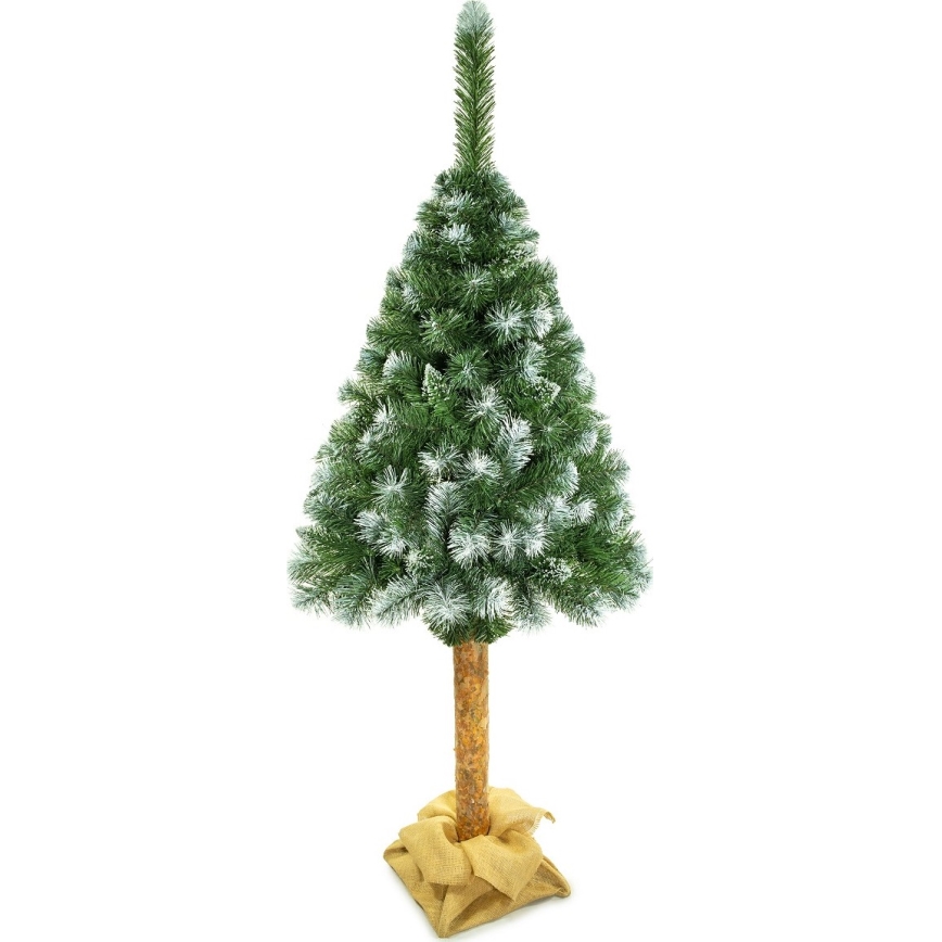 Weihnachtsbaum auf Stamm 220 cm Kiefer