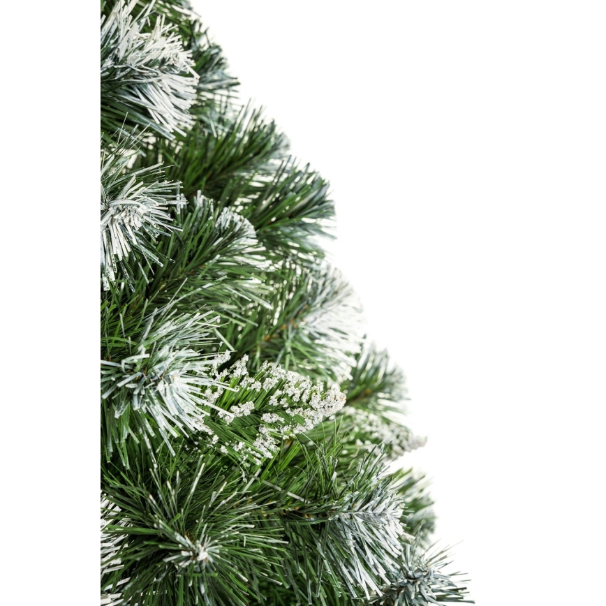 Weihnachtsbaum auf Stamm 220 cm Kiefer