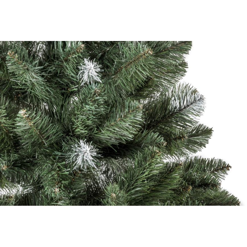 Weihnachtsbaum POLA 180 cm Kiefer
