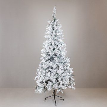 Weihnachtsbaum SCOTLAND, 210 cm, Fichte