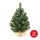 Weihnachtsbaum XMAS TREES 50 cm Kiefer