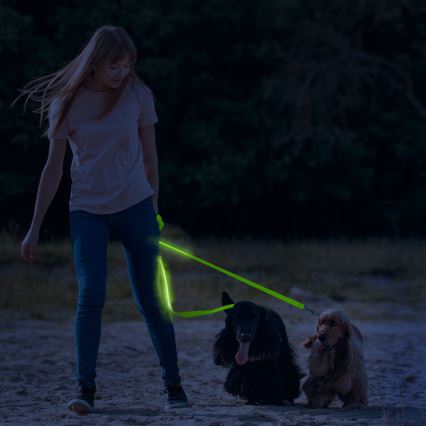 Wiederaufladbare LED-Leine 120 cm 2xCR2032/5V/40 mAh grün
