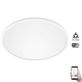 WiZ - LED RGB dimmbare Deckenleuchte SUPERSLIM LED/22W/230V 2700-6500K Wi-Fi Weiß