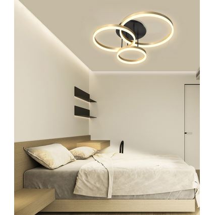 Wofi 9049-401 - LED dimmbare Deckenleuchte PERPIGNAN LED/51W/230V goldfarben