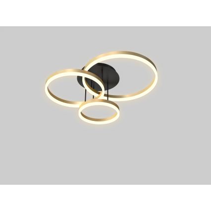 Wofi 9049-401 - LED dimmbare Deckenleuchte PERPIGNAN LED/51W/230V goldfarben