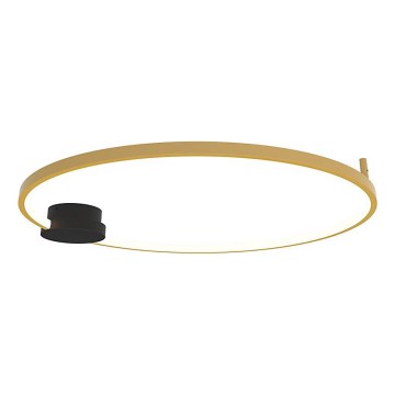 Zambelis 23097 - LED dimmbares Deckenleuchte LED/32W/230V 3000K Ø 80 cm gold