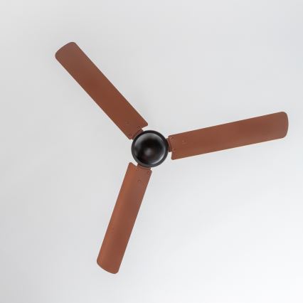 ZEVENTI - Deckenventilator TOFINO Braun