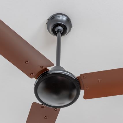 ZEVENTI - Deckenventilator TOFINO Braun