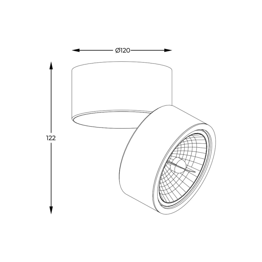 Zuma Line - Deckenstrahler 1xGU10-ES111/15W/230V schwarz