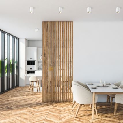 Zuma Line - Einbauleuchte 1xGU10/50W/230V Weiß