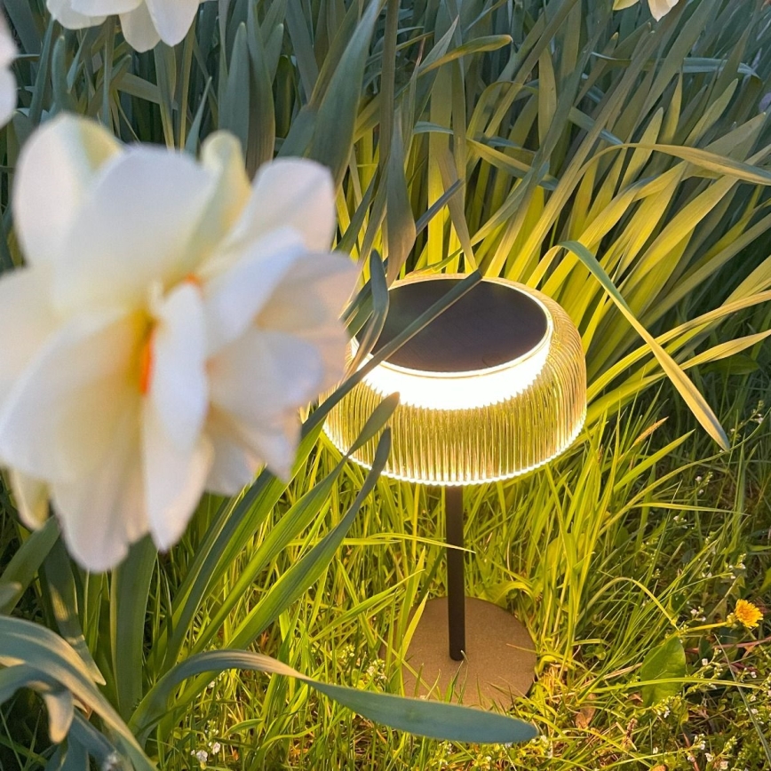 Zuma Line - LED dimmbare solarbetriebene Tischlampe LED/2,5W/2000 mAh IP44 schwarz