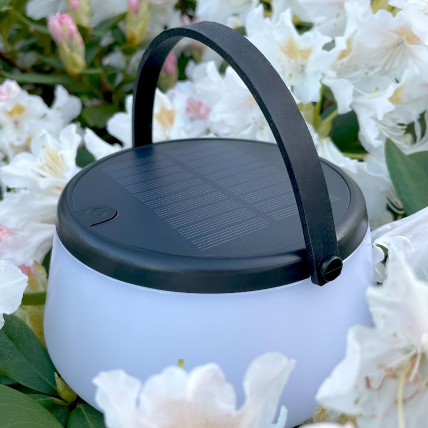 Zuma Line - LED dimmbare solarbetriebene Tischlampe LED/2,2W/2000 mAh IP44 schwarz
