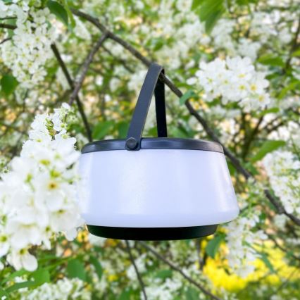 Zuma Line - LED dimmbare solarbetriebene Tischlampe LED/2,2W/2000 mAh IP44 schwarz
