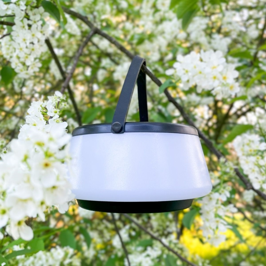 Zuma Line - LED dimmbare solarbetriebene Tischlampe LED/2,2W/2000 mAh IP44 schwarz