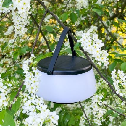 Zuma Line - LED dimmbare solarbetriebene Tischlampe LED/2,2W/2000 mAh IP44 schwarz