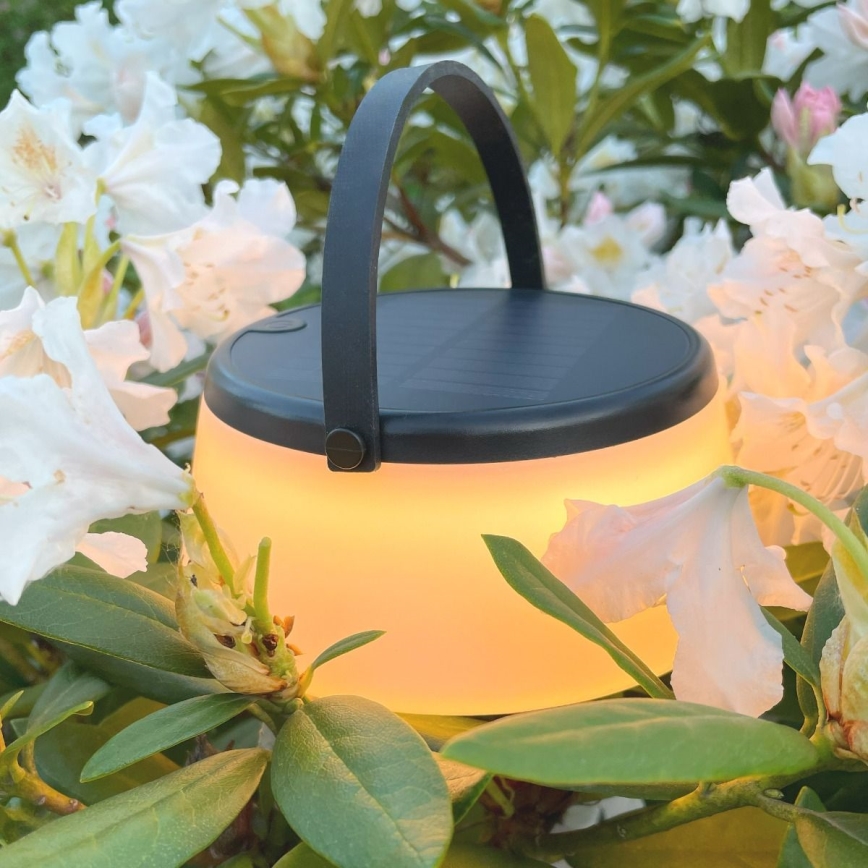 Zuma Line - LED dimmbare solarbetriebene Tischlampe LED/2,2W/2000 mAh IP44 schwarz
