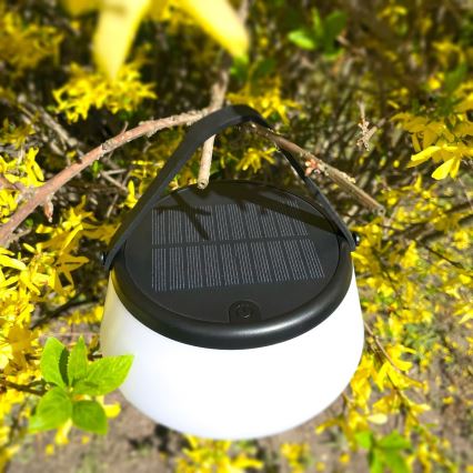 Zuma Line - LED dimmbare solarbetriebene Tischlampe LED/2,2W/2000 mAh IP44 schwarz