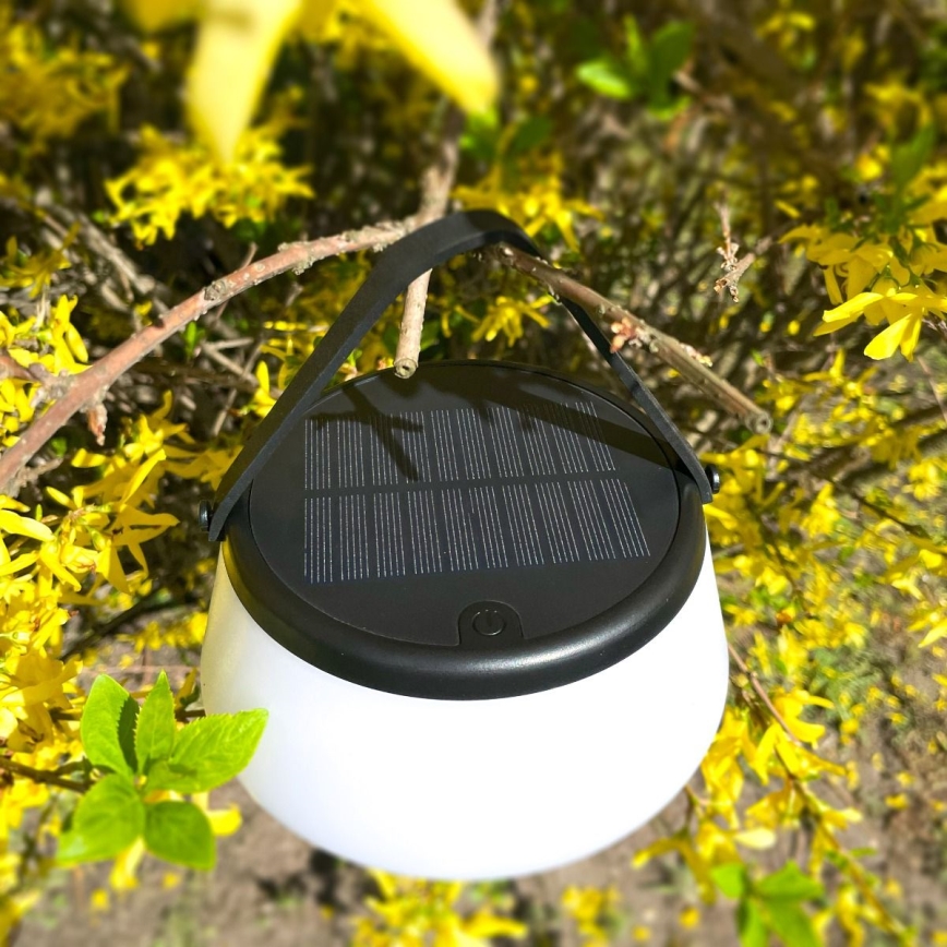 Zuma Line - LED dimmbare solarbetriebene Tischlampe LED/2,2W/2000 mAh IP44 schwarz