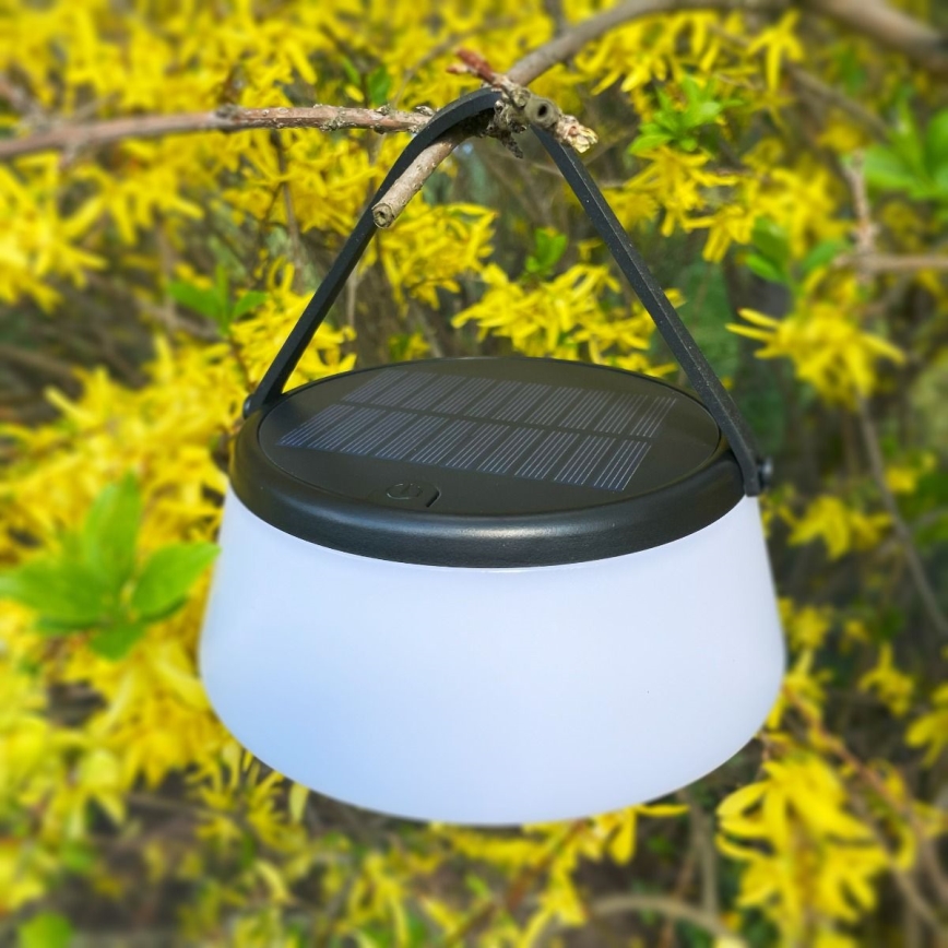 Zuma Line - LED dimmbare solarbetriebene Tischlampe LED/2,2W/2000 mAh IP44 schwarz