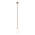 Zuma Line - Hängeleuchte an Schnur 1xG9/4W/230V golden
