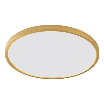 Zuma Line - LED-Deckenleuchte CAMI, LED/36W/230V, 3000/4000/6000K, Ø 40 cm, goldfarben