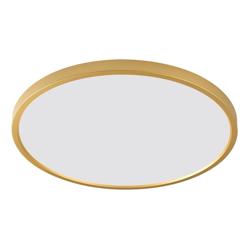 Zuma Line - LED-Deckenleuchte CAMI, LED/36W/230V, 3000/4000/6000K, Ø 40 cm, goldfarben