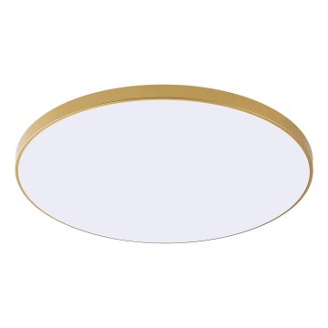 Zuma Line - LED-Deckenleuchte VERI LED/32W/230V Ø 37 cm, goldfarben