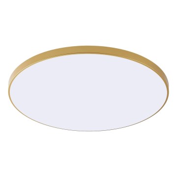 Zuma Line - LED-Deckenleuchte VERI LED/44W/230V Ø 47 cm, goldfarben