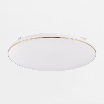Zuma Line - LED dimmbare Deckenleuchte OMAR LED/48W/230V Ø 53 cm gold