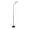 Zuma Line - LED dimmbare Stehleuchte LED/10W/230V 3000/4500/6500K schwarz