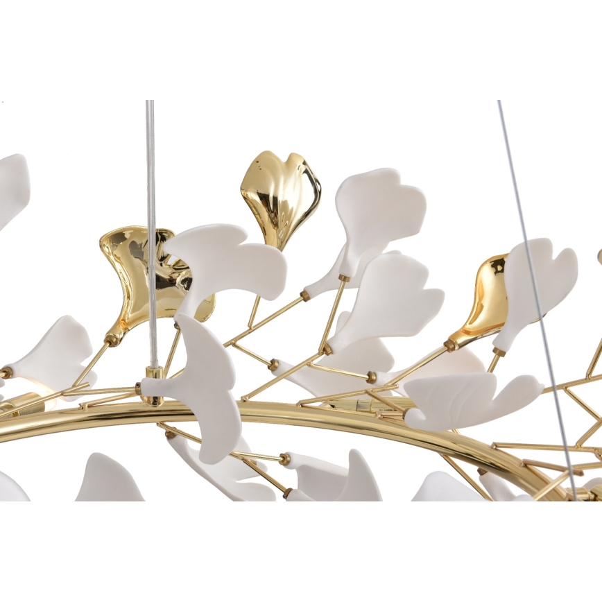 Zuma Line - Kronleuchter mit Kabelaufhängung 6xG9/42W/230V Ø 74 cm goldfarben