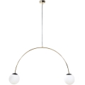 Zuma Line - Pendelleuchte mit Kabel 2xE14/10W/230V goldfarben
