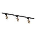 Zuma Line - Spot für Schienensystem 3xGU10/35W/230V schwarz/gold