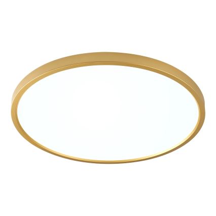 Zuma Line - LED-Deckenleuchte CAMI, LED/36W/230V, 3000/4000/6000K, Ø 40 cm, goldfarben